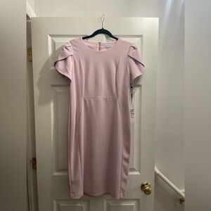 Calvin Klein Women's Soft Pink Midi Dress